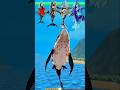 Hungry Shark Evolution Gameplay New Shark Update and 