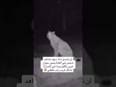 حيوان غريب يضهر في محافظة البصره