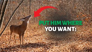 How I Use TIMBER HARVESTS to Create Predictable Deer Movement