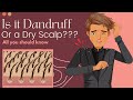 Is it dandruff or a dry scalp heres what you need to know