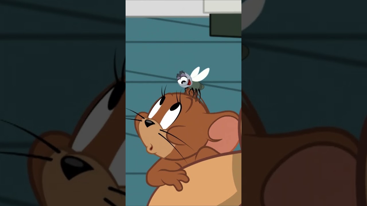 Jerry vs the fly | Tom & Jerry | Boomerang UK 