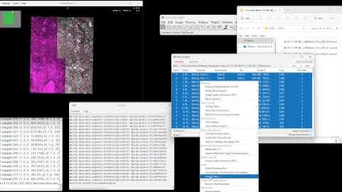 BigStitcher Gigapan from MicroManager grid images