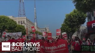 After big wins in New York, Democratic socialism picking up steam nationwide