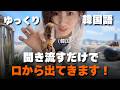 旅行韓国語、この動画1本で全部終わらせてください|【ゆっくり韓国語vlog】 釜山一人旅