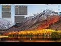 LFO Running Off Key On ⧸ Off