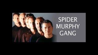 Watch Spider Murphy Gang Schwierigkeiten video