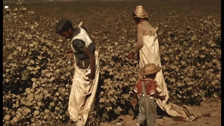 Daily Life as a Cotton Picker | Documentary Clip