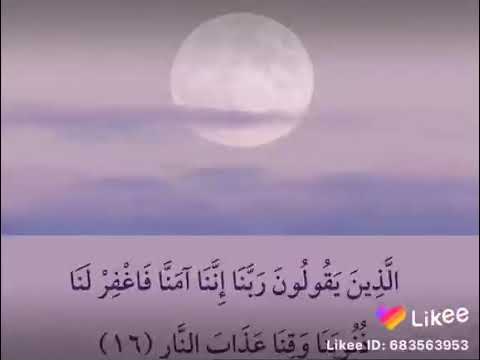 تلاوة عطرة راحة نفسية إذا لم تشاهد الفيديو فأعلم أن الشيطان منعك  القرآن