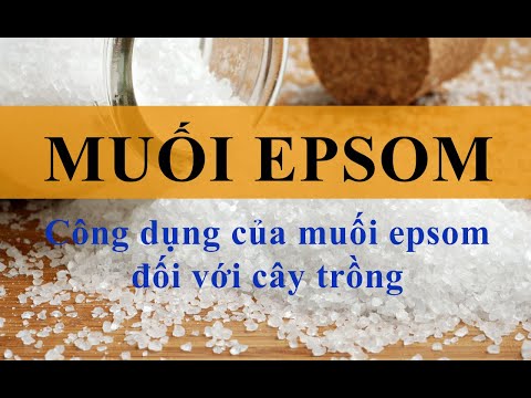 Video: Muối Epsom có tốt cho cây trồng trong nhà không: Bạn có nên sử dụng muối Epsom trong nhà