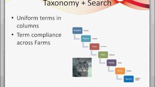 Using Managed Metadata and the Managed Metadata Service with SharePoint Search - Part 1