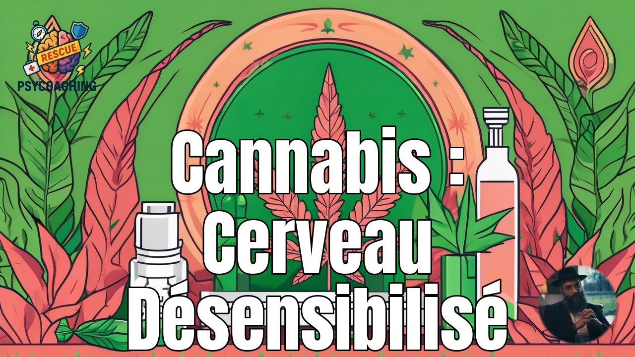 OUPS ! Le Cannabis modifie votre cerveau pour le rendre insensible aux récompenses.