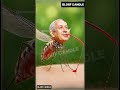 BBQ Comedy 🍗 Putin, Khamenei & Kim Get Bitten 😂 #FunnyShorts #AIFun #UKLaughs #EuropeVibes #ViralCom