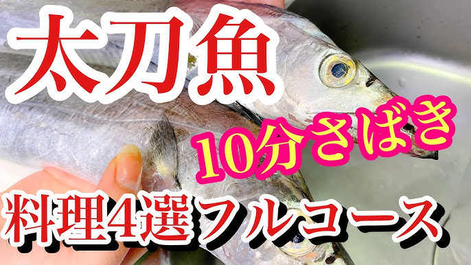 釣ったら絶対 先生が教える太刀魚の下処理 簡単タチウオ料理レシピ 正しい捌き方を伝授 Youtube