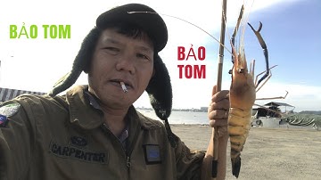 BẢO TOM.HAI THầy trò đi câu tom trún con nước.Tom ăn dực Không kịp .Bến Phà Vàm Cống.FISHING)