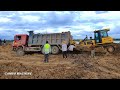 Hyundai Dump truck stuck in deep mud Recovery by SHANTUI Bulldozer & action machinery working