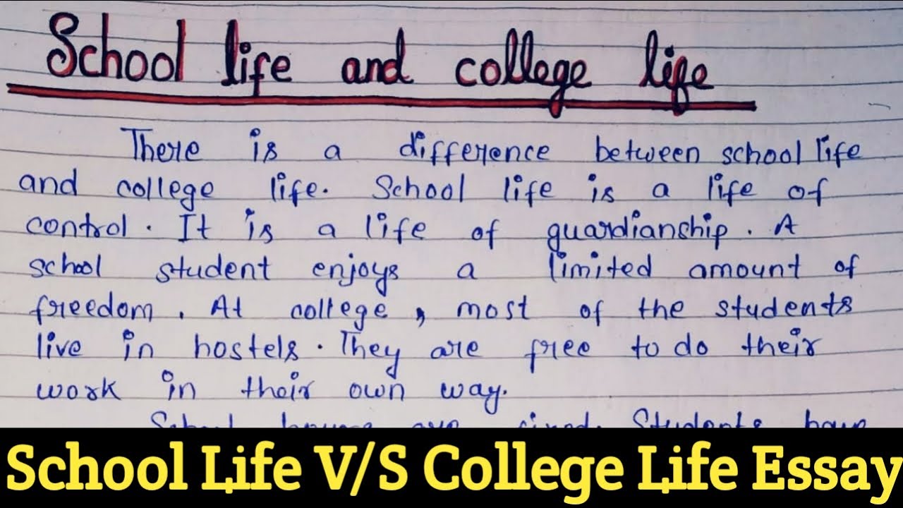 essay on school life and college life