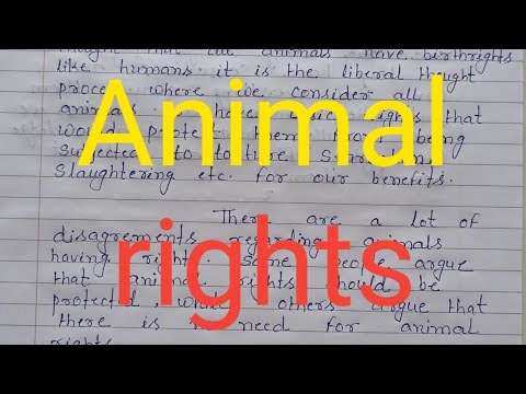 Essay Topics About Animals to Help You Brainstorm Ideas