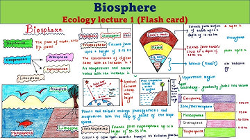 Biosphere | Definition | Components | Importance | Ecology lecture 1 | UG | PG | UPSC