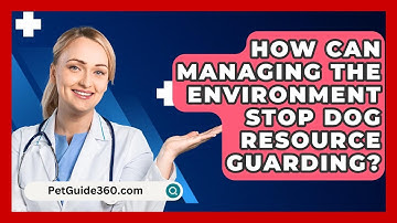 How Can Managing The Environment Stop Dog Resource Guarding? - PetGuide360.com