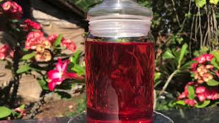 Rose tea recipe/ Herbal Rose Tea