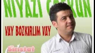 Bozkır Güzeli - Niyazi Coşkun Resimi