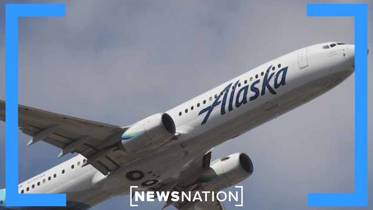 Flight diverts after pilot admits he's not qualified to land: Report | NewsNation Prime