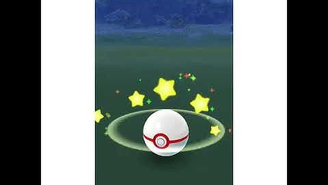 GoRaidGo iPhone and Android App is launched in the App Store and Play Store