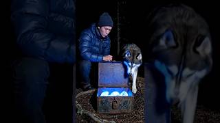 The Dog Found a Hidden Secret in the Forest#usa#trendingshort #shorts
