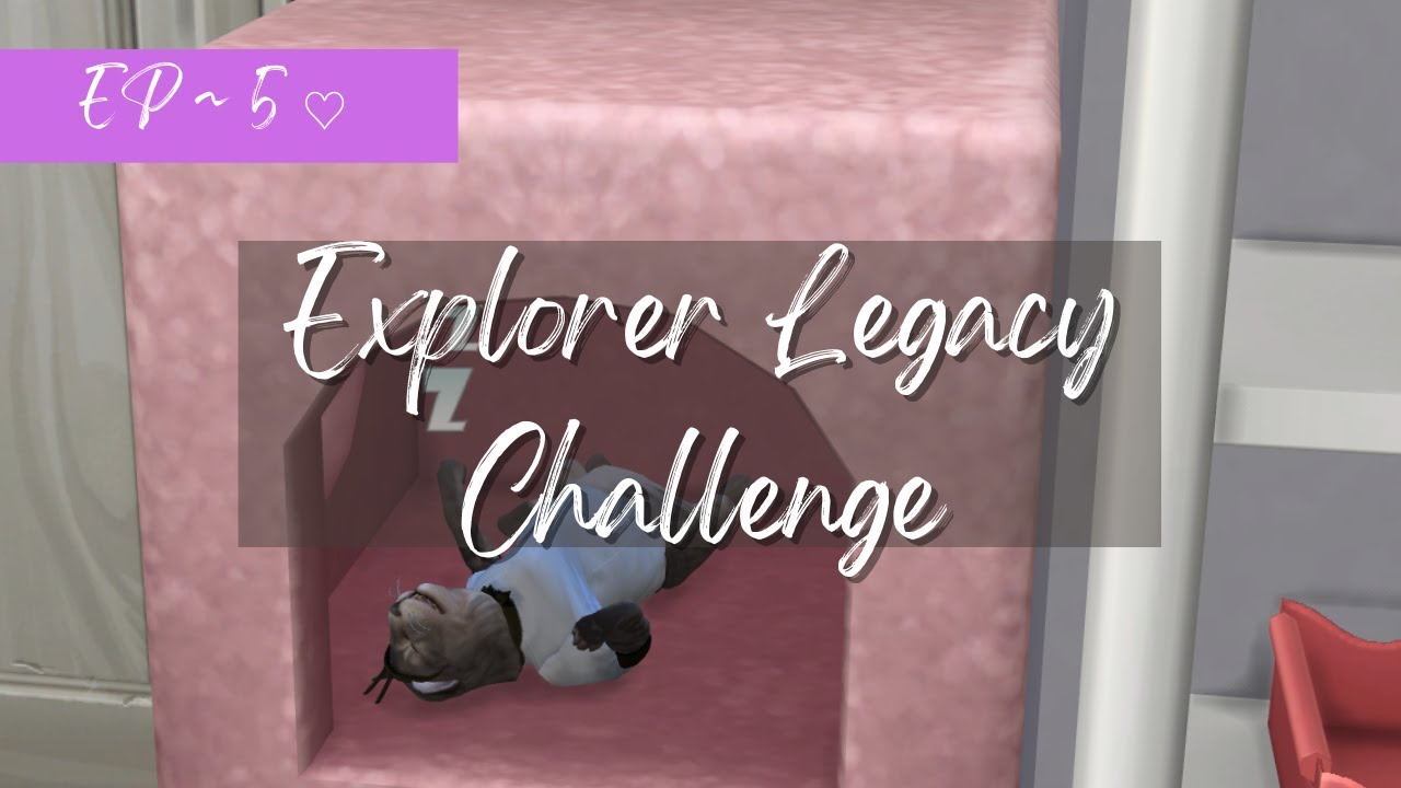 elaina takes a couple days off; animal training & WOOOHOOO♡// The Sims 4:  Legacy Challenge