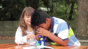 300x Microscope - Scientists of Tomorrow