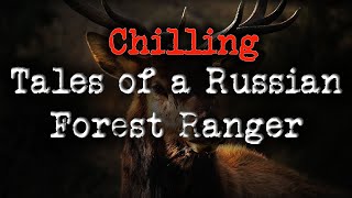 These CHILLING stories of a Russian Forest ranger are NIGHTMARE FUEL
