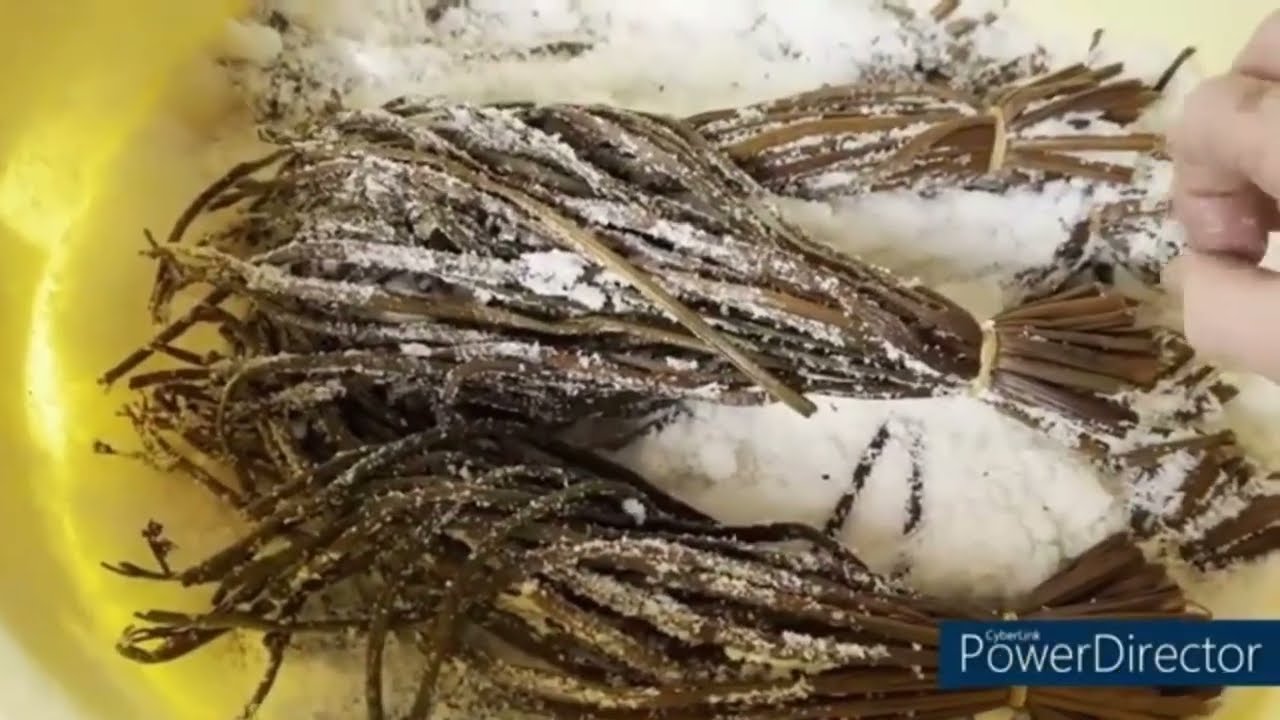 冬越し用の塩漬けワラビの調理法 　　　　　　#ワラビ  #山菜 #アウトドア#塩漬けワラビ #里山暮らし #保存食