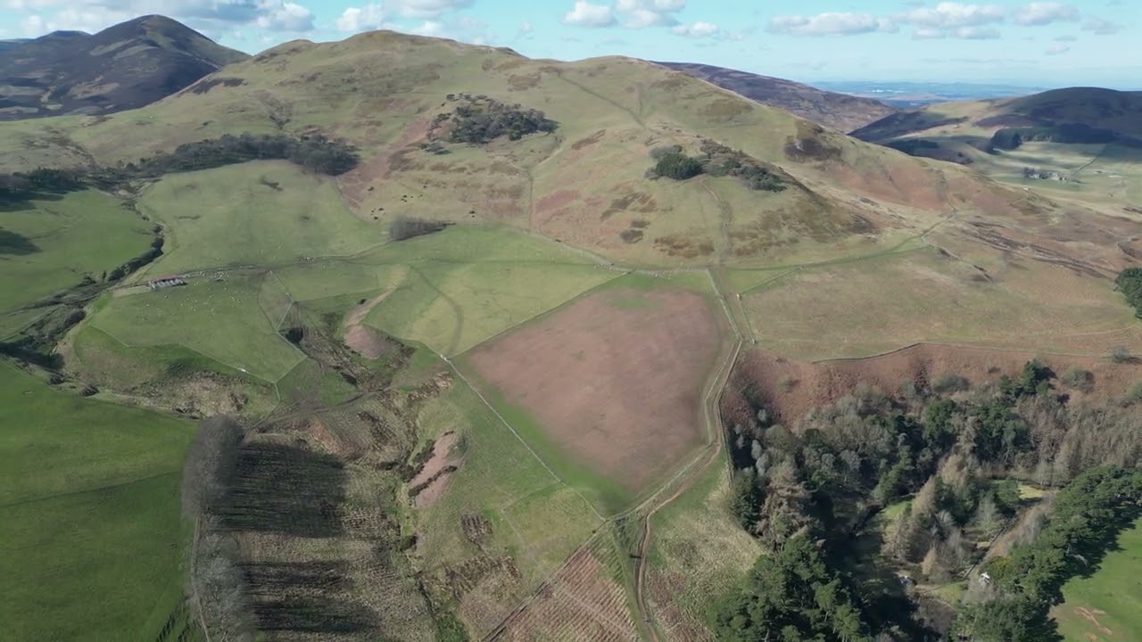 Aerial Drone: Rullion Green Wood - 2025 March part 1