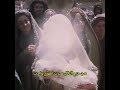 حكه الكلب يهواج ماالوم الكلب بناء البقيع الحق لايوم كيومك ياابا عبدالله