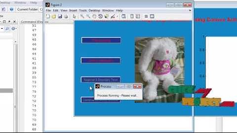 Final Year Projects | Robust Interactive Image Segmentation Using Convex Active Contours