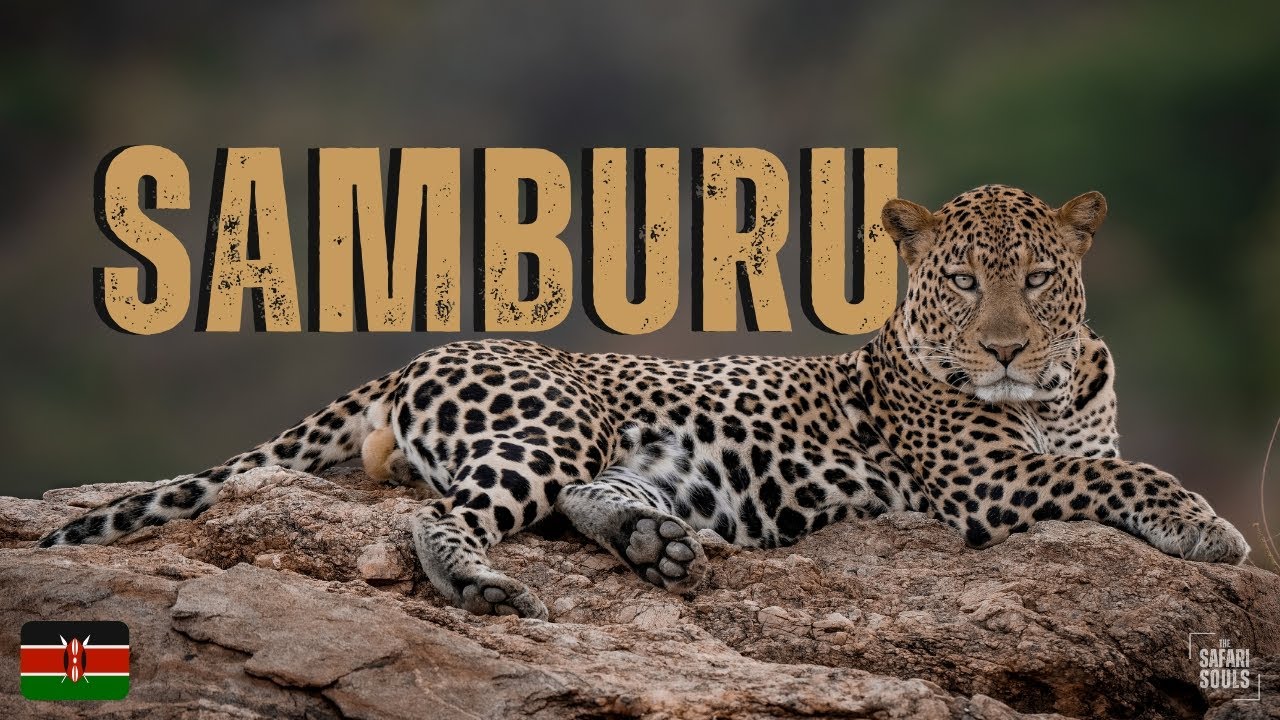 Samburu National Reserve : A Place Like No Other : Photo Safari Experience