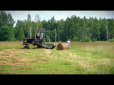 В Тверской области