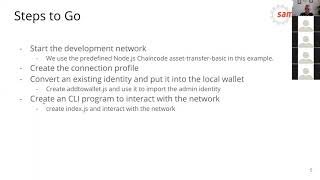 How to Access the --peer-devmode Network with a node.js Client Application
