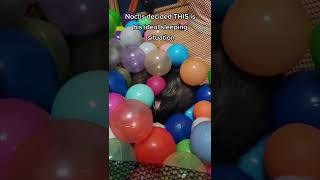 As Long As Hes Happy