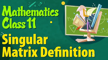 Singular Matrix Definition - Types of Matrices - Matrices Class 11 - Class 11 Mathematics