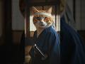 One Brave Samurai Cat | AI Cinematic Shorts
