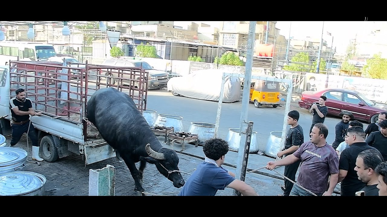 طبخ الامام الحسين عليه السلام في دار الحاج الكصاب علي الفكيكي بأشراف الطباخين حيدر وكرار ومصطفى