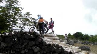 20110626fox丸太越え