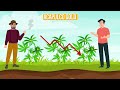Are Landrace Strains Extinct?