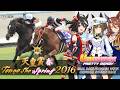 Kitasan Black | Tenno Sho Spring 2016 x Umamusume BGM | 2016年 天皇賞(春) キタサンブラック × ウマ娘BGM