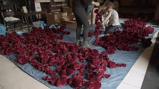 Susie MacMurray - Gathering Wealth