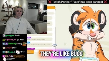 xQc Speechless Realizing the Streamer He Saw on Twitch Front Page Last Night Got Banned