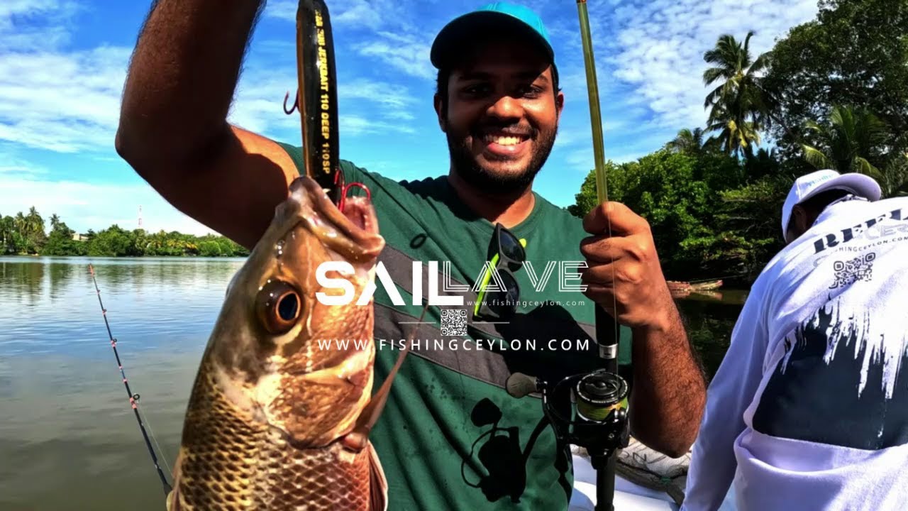 Thumbnail for Customer Reviews of SAIL LA VE Excursions - Mr. Thevin Pethiyagoda