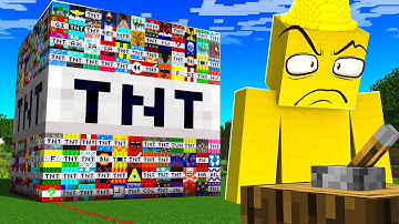 I Made TNT Crazier To Troll My Friend