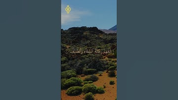 📖 سورة قريش كاملة | القارئ فارس عباد 🎧 تلاوة خاشعة